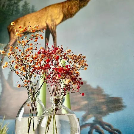 Villa Magnar Etnesjoen